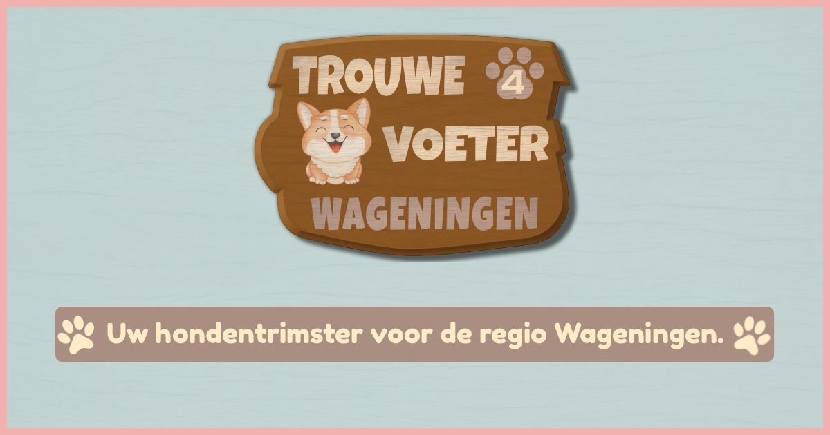 Trouwe4voeter image 1